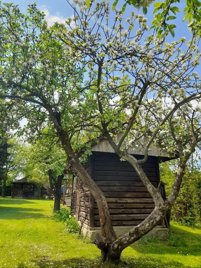 Agroturystyka Stokrotka Rymanów-Zdrój Εξωτερικό φωτογραφία