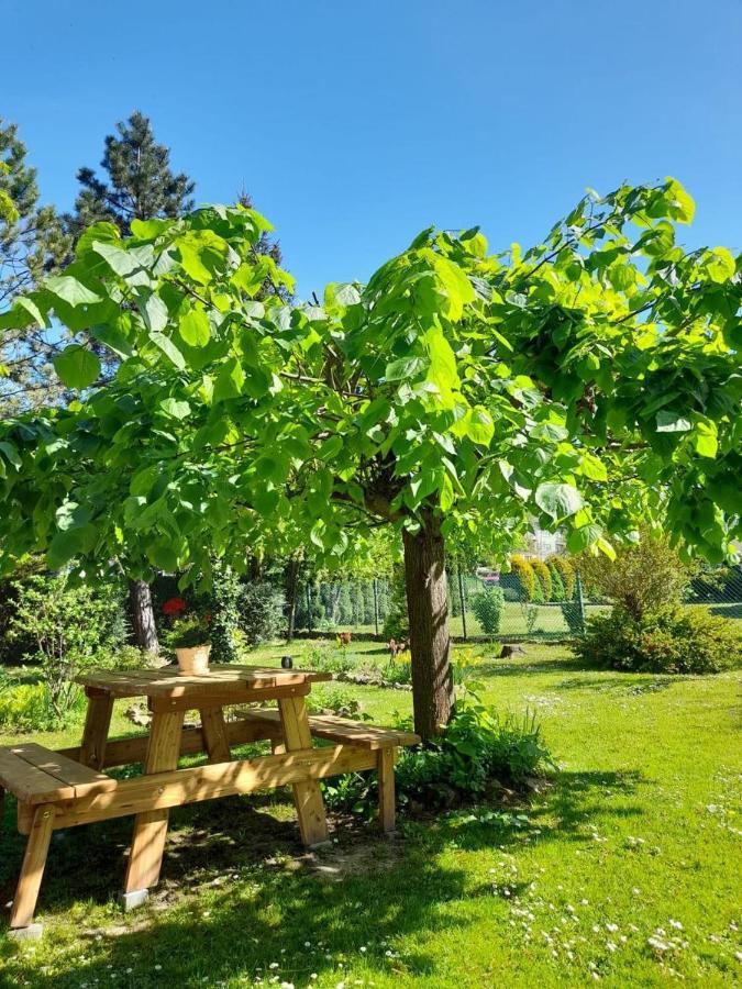 Agroturystyka Stokrotka Rymanów-Zdrój Εξωτερικό φωτογραφία