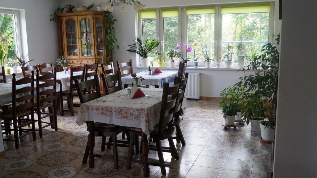 Agroturystyka Stokrotka Rymanów-Zdrój Εξωτερικό φωτογραφία